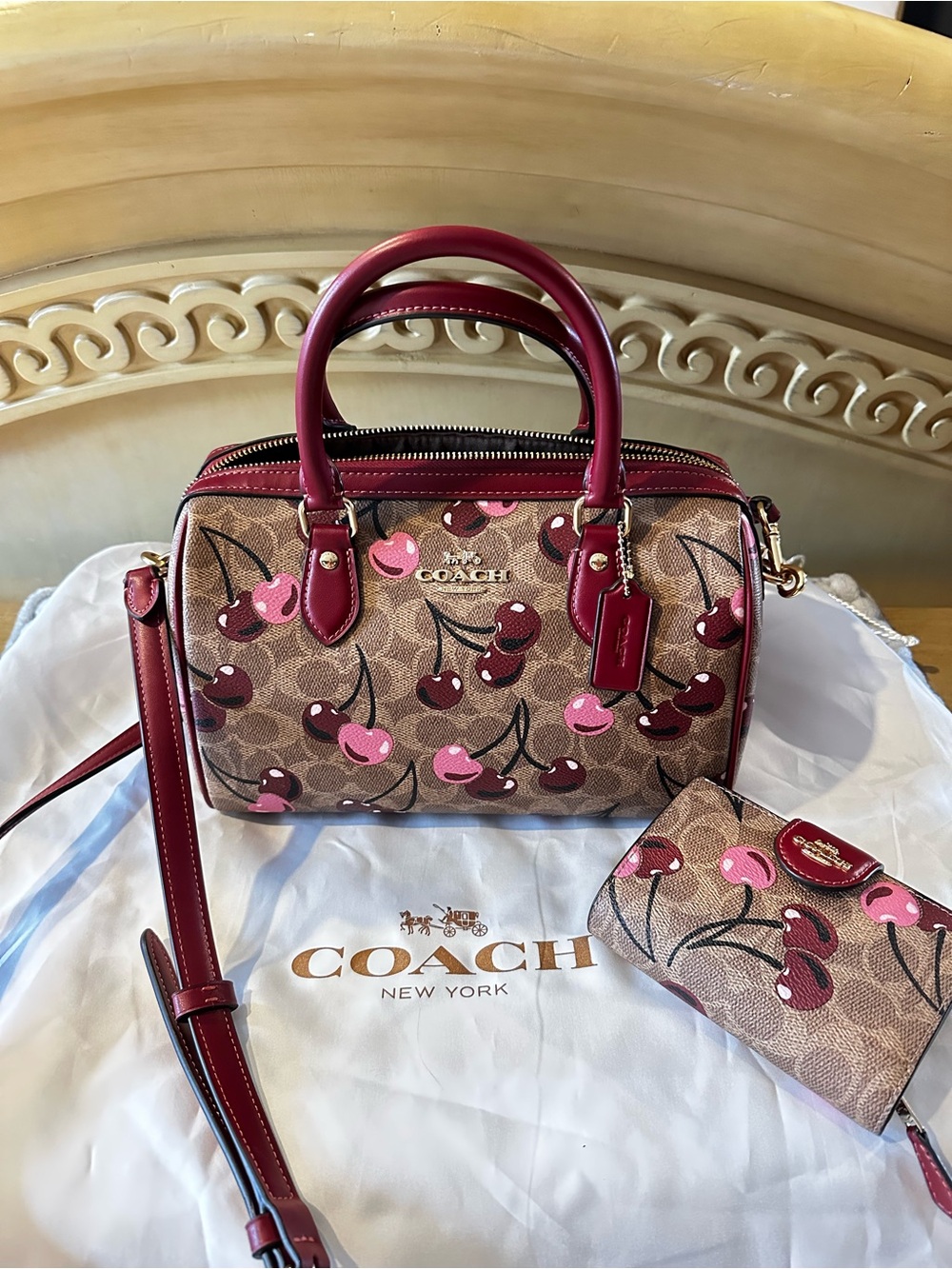 Coach Cherry Print Mini Satchel in Pink and Maroon